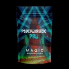 magic mushrooms